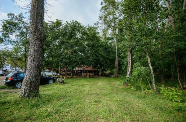 Shekhvetili Cottages 2N Екстер'єр фото